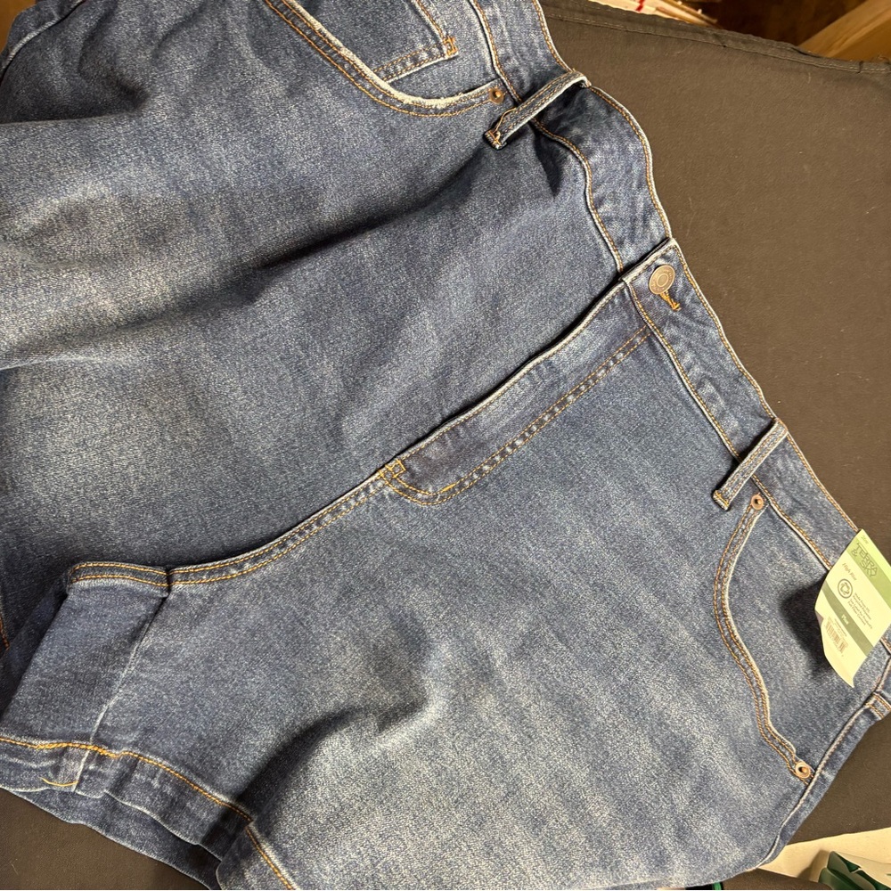 Terra & Sky Women's Blue Jean Shorts